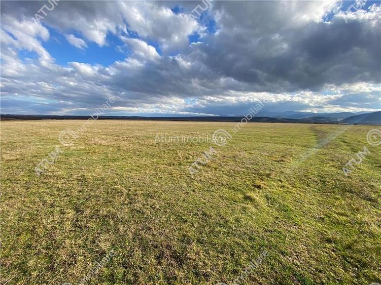 Teren de vanzare 630 mp in Sibiu pretabil investitie - 5