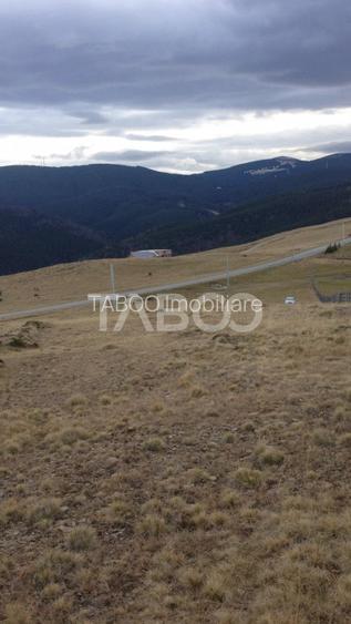 De vanzare teren extravilan 3854 mp acces auto Paltinis Sibiu - 2