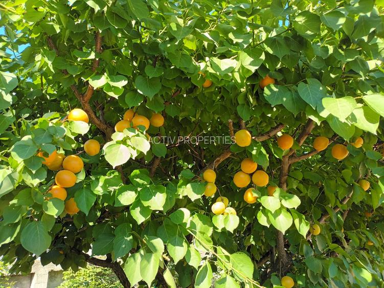 MAGURELE, Vila an 2012 S+P+E+M, Sutila 315mp, garaj, foisor, centrala proprie - 18