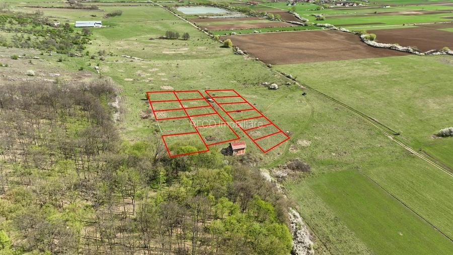 RECO, teren intravilan, Ineu,Bihor - 3