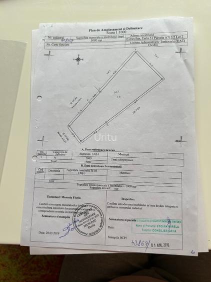 Teren extravilan 5000 mp - 11