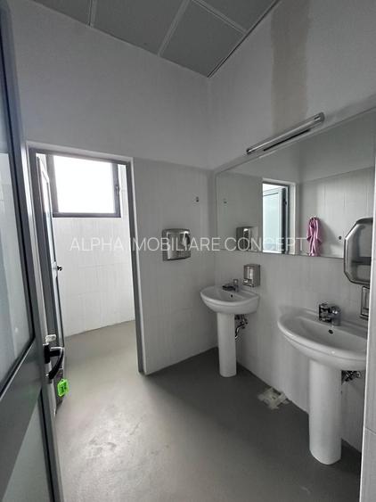 SPATIU COMERCIAL-INDUSTRIAL - ANADALCHIOI - 9