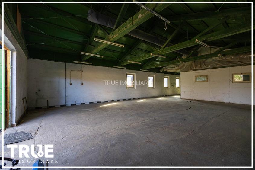 Hală de producție și depozitare - Voiniceni, Mureș - 13
