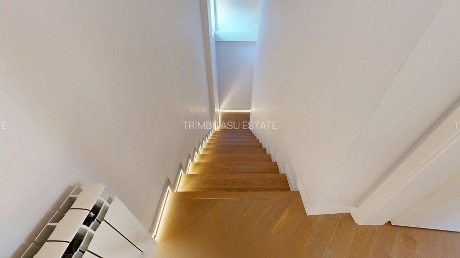 Titan Pallady-proprietate de exceptie - 22