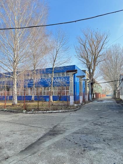 Vanzare/inchiriere FABRICA cu 3 HALE si BIROURI, zona industriala mun. VASLUI - 4