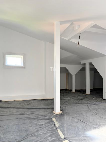 VILA INTERBELICA IN CURS DE RENOVARE COMPUSA DIN DOUA APARTAMENTE - PARCUL CAROL - 13