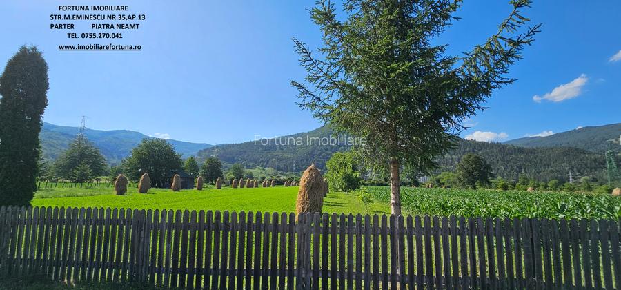 Teren intravilan Pangarati, 4400 mp - 4