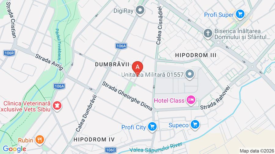 Apartatamente premium de inchiriat in zona Parcul Sub Arini - 10