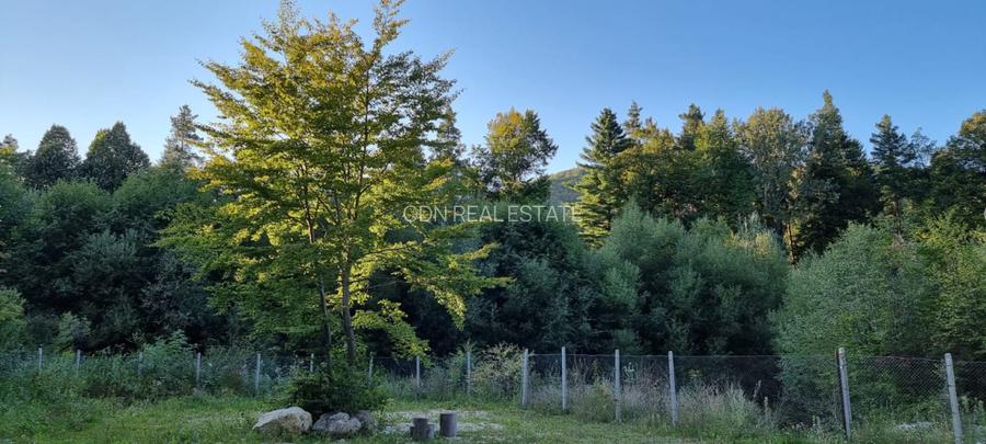 De vanzare CAMPING DARSTE - 2