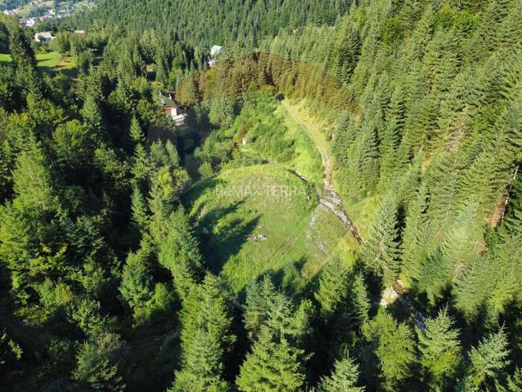 Teren 2,895mp Strada Priseci acces auto in zona telecabina BORSA - 4