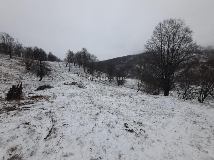 Teren de vanzare Com Alexandru cel Bun (Jud. Neamt) Latu, 2746 mp , Cod 142788 - 2