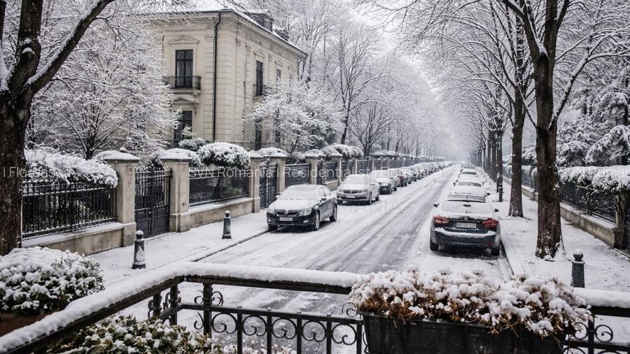 REA1022808 Apartament 2 Camere I De Vanzare I Primaverii I Herastrau - 8