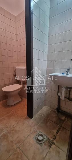 Spatiu birouri sau comercial in localitatea Pancota - 12