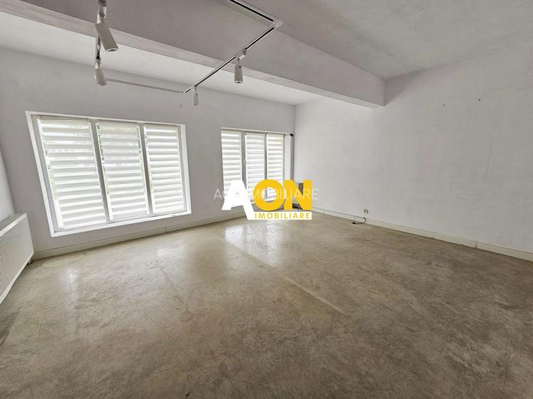 Spatiu industrial pentru productie sau depozitare, 1600 mp, Sebes - 6