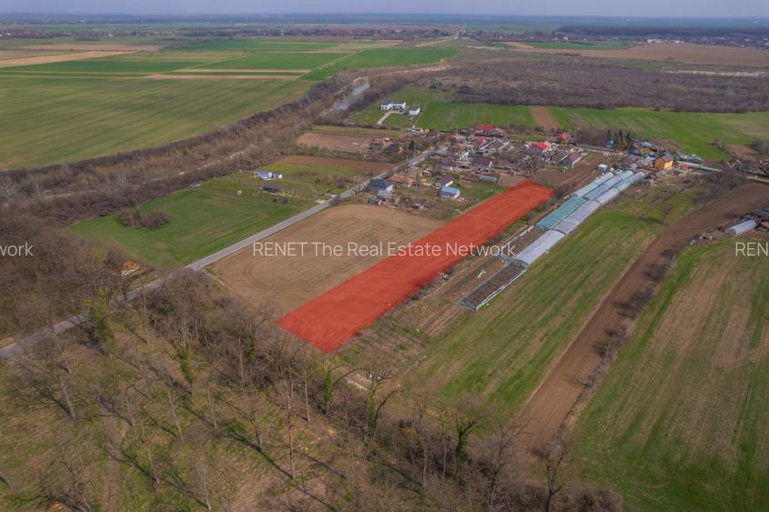 NUCI - BALTA NEAGRA, LOT 3080 MP, LA PADURE! - 8