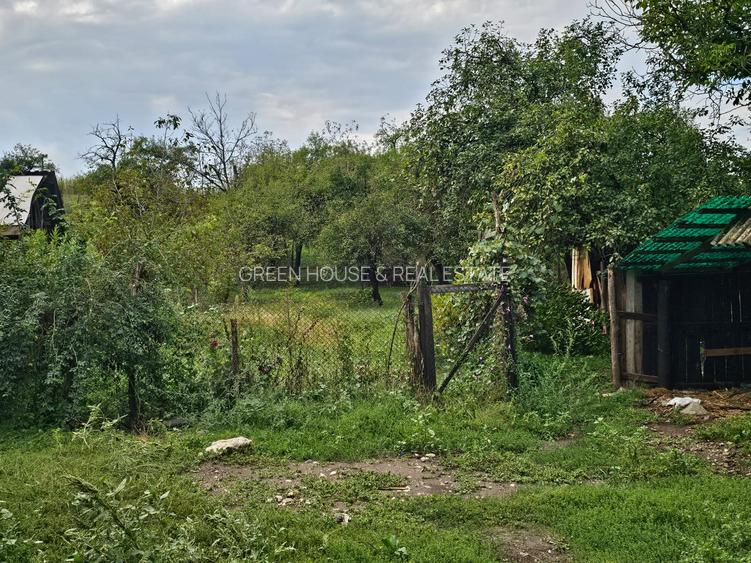 Casa curte si gradina - 9