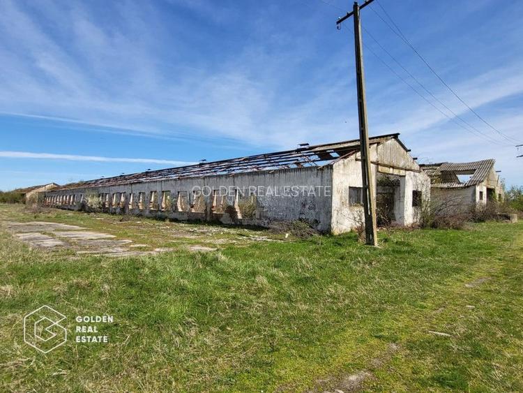 Teren extravilan, 22.5 ha, comuna Maureni - 5