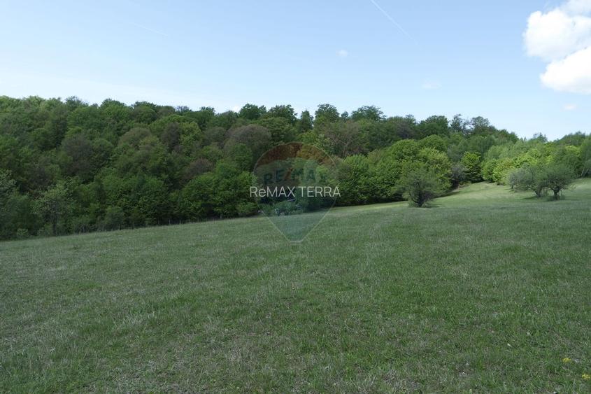 TEREN DE VÂNZARE ÎN PRELUCA NOUA - 4