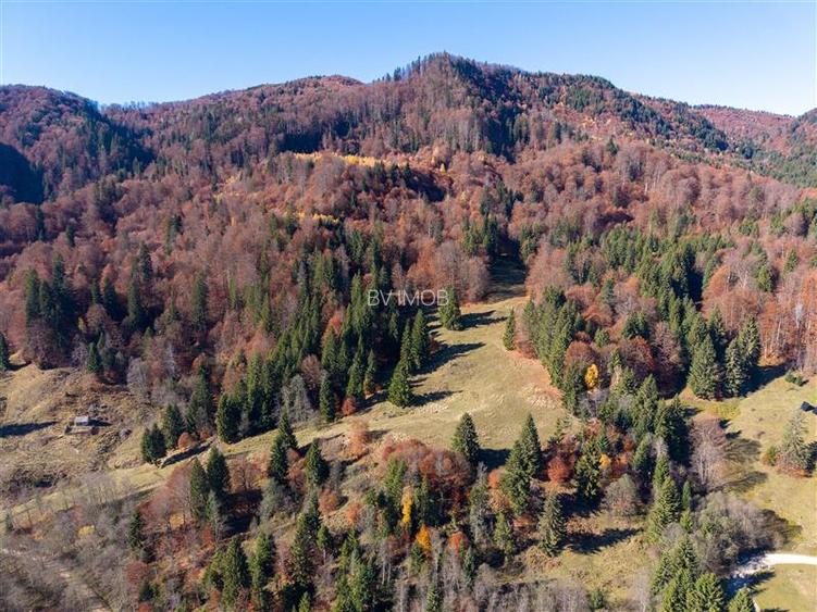 Teren de Vis langa Siriu  – 20000 mp ideal pentru Complex turistic Comision 0% - 4