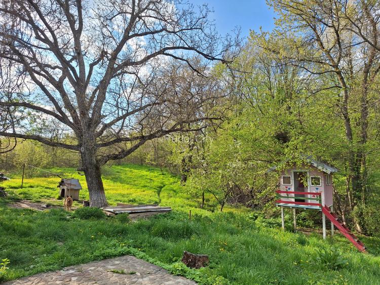 Moșia cu casa în vârf de deal, Scorțeni - Prahova, comision 0% - 19