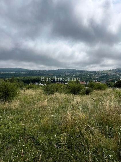 Teren intravilan, 1500 mp, cu view, zona herghelia Salicea - 2