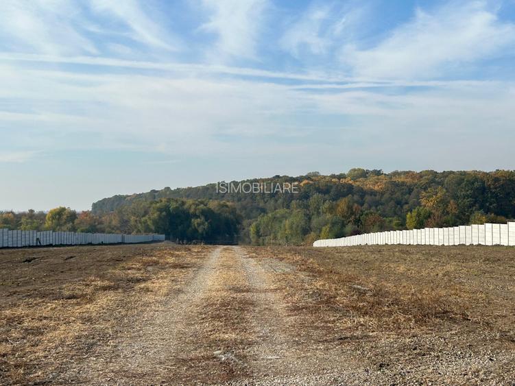 Teren Lac Snagov 12 000mp deschidere 120 ml la lac - 4