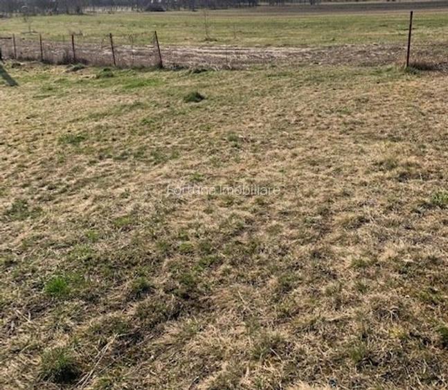 Teren intravilan Piatra Neamt - 2