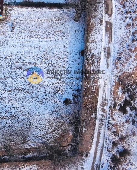 Teren intravilan 1000 mp – Alexandru cel Bun - 9