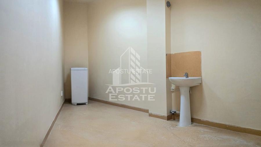 Spatiu comercial SAD, 250 mp, Iosefin - 9