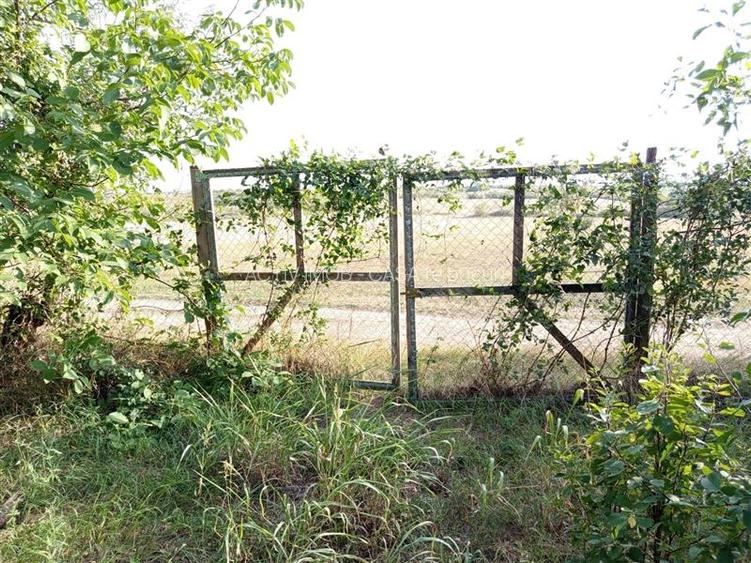 Ciuchici, Casa 7 Incaperi, 1151mp Teren, Pret Negociabil, ZERO COMISION - 11