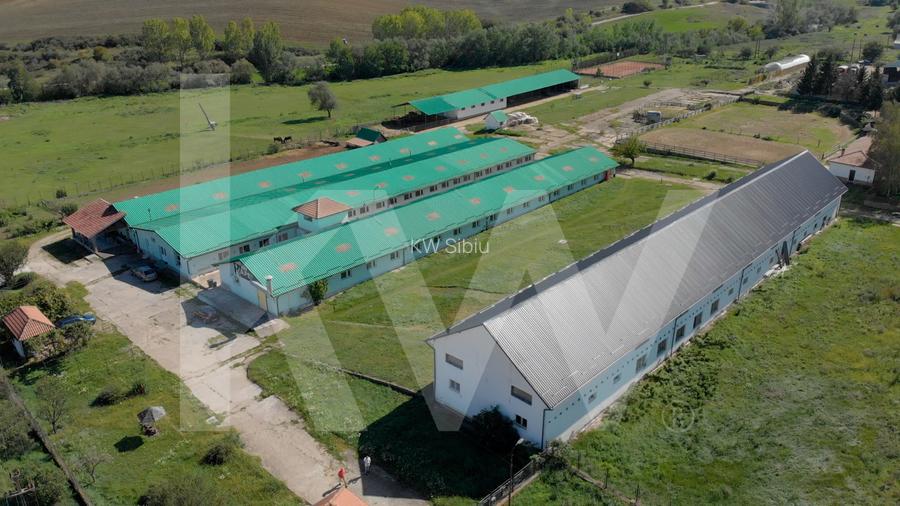 Proprietate industrială cu hale moderne, teren generos și acces Autostrada A1 - 2