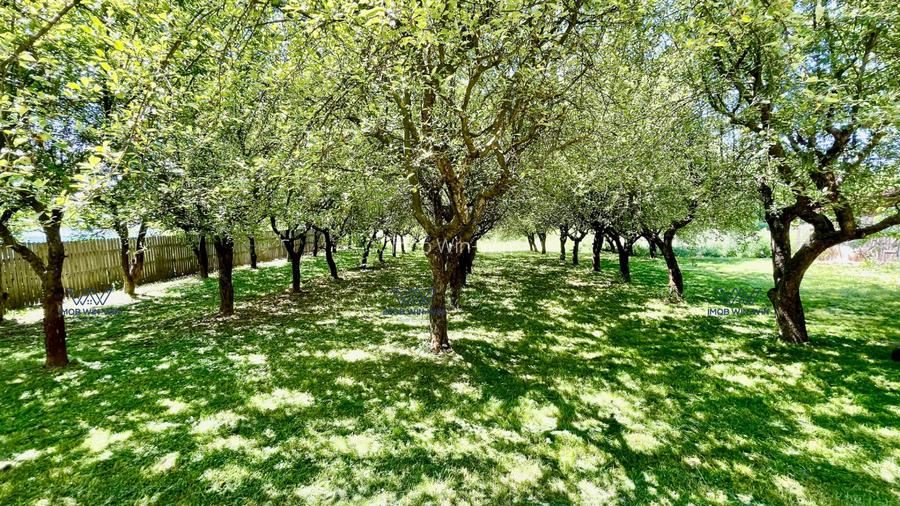 Proprietate Exceptionala cu Potential Dublu in Valea Ursului, Arges - 18