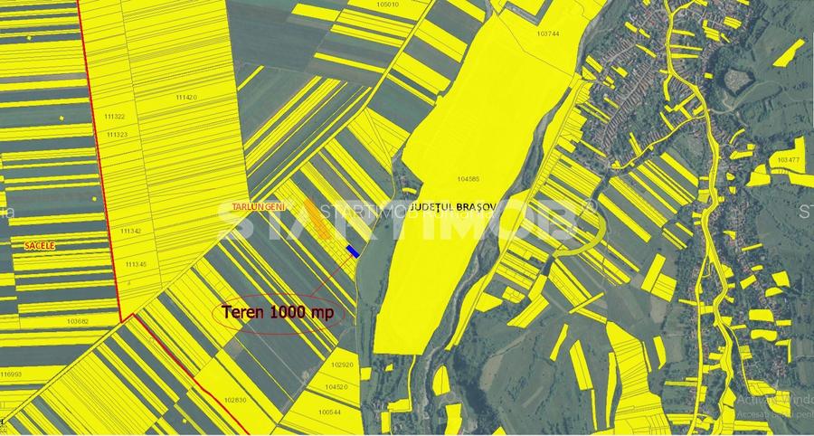 Teren Intravilan Tarlugeni - 6
