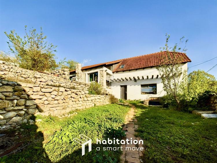 Casă cu 4 dormitoare + piscină în Socolari – ideală pentru investiție - 2