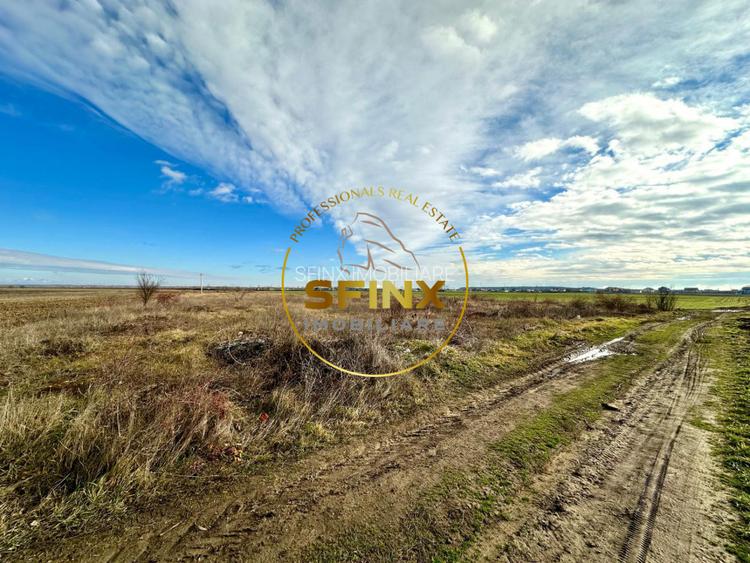 LOT de casa Tartasesti Primarie | teren cu potential - 2