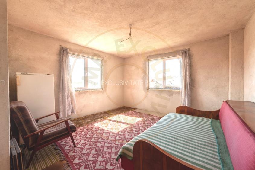 Casă P+1 langa padure cu teren 4.752 mp Cosesti Arges - 18