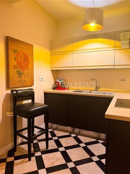 Apartament 2 camere de inchiriat Herastrau Nordului - 15