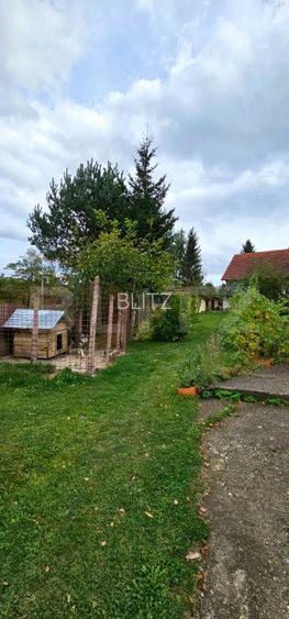 Casa deosebita, 3000 mp teren, 6 camere zona linistita - Barcani - 5