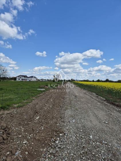 Teren intravilan 704 mp – Siliștea Snagovului | Lângă Pădurea Snagov - 3