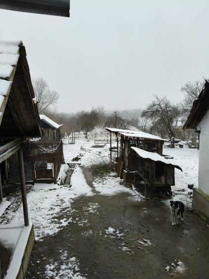 Proprietate rară – 2 case + livadă, vie și teren generos, la 20 km de Târgu Jiu - 17