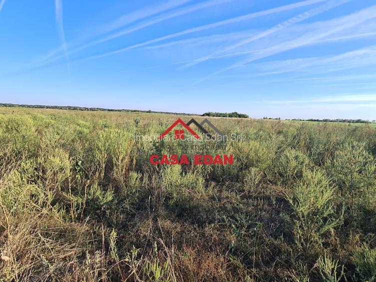 Teren extravilan in Urleta--5000m--18.500e - 7