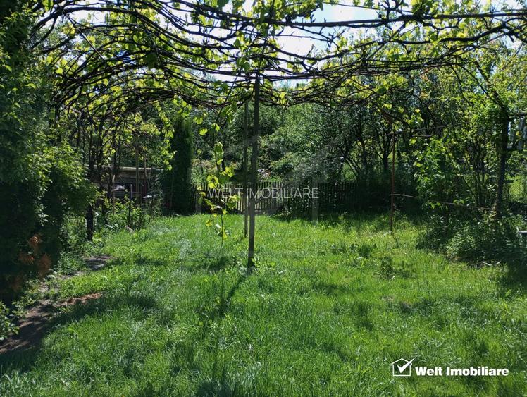 Casa buna locuibila sat Dumbrava Capusu Mare - 13