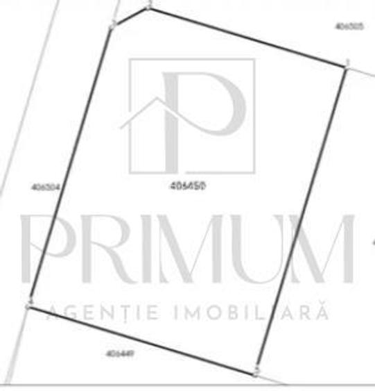 Teren- MOSNITA NOUA- DOUA FRONTURI STRADALE - 2