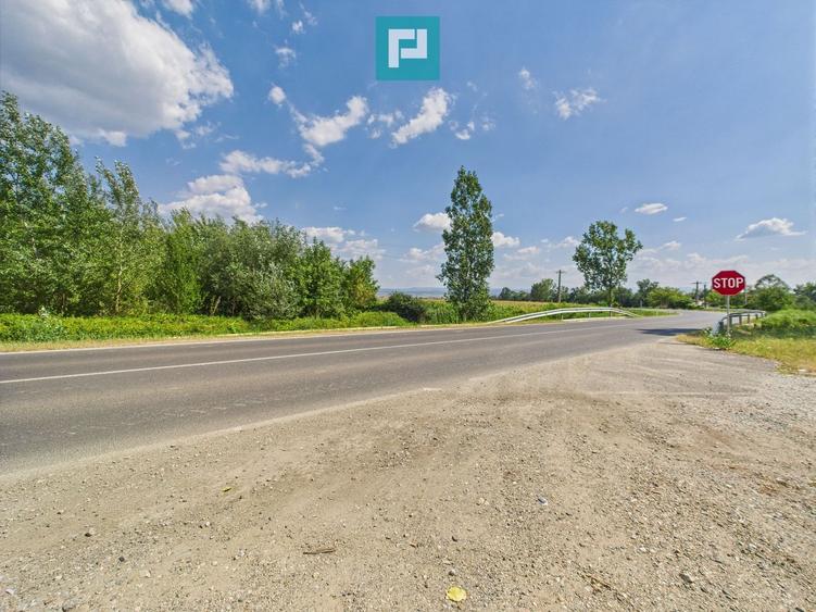 Teren extravilan de 5.219 mp în Geoagiu la șosea