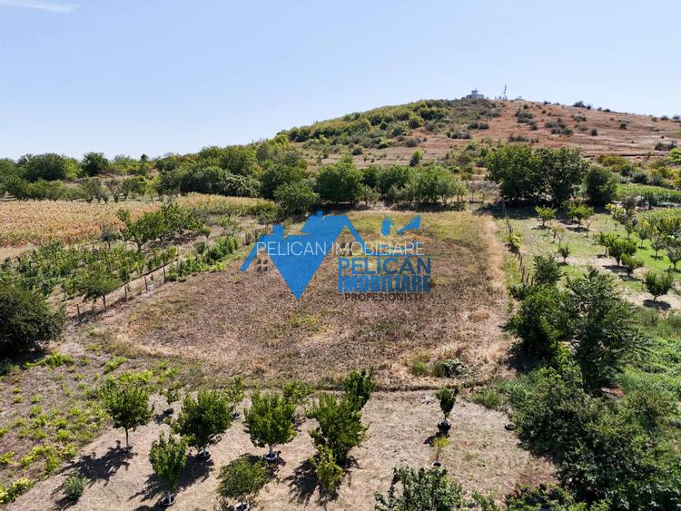 Casa cu teren in Telita - 3549MP - zona foarte frumoasa - 15