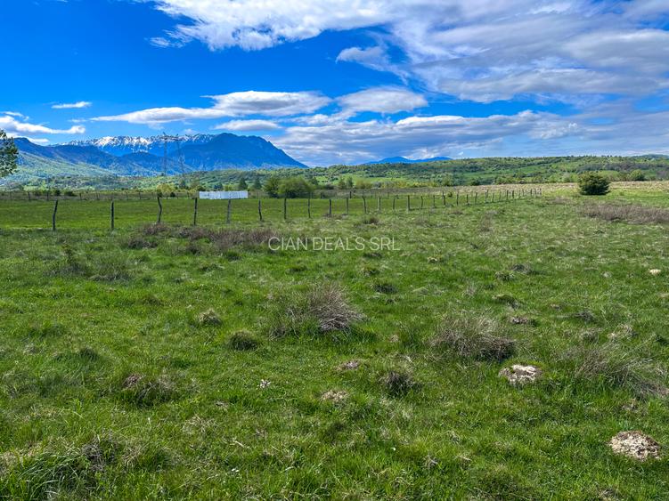 Teren Bran Zarnesti 3 km Castelul Bran 25 km Brasov - 9