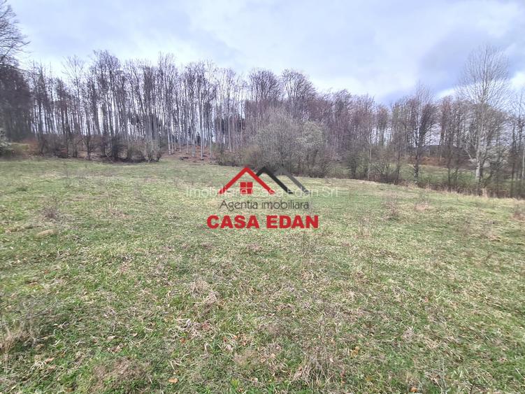 Teren extravilan Valea Doftanei 20.500 mp 6e mp - 8