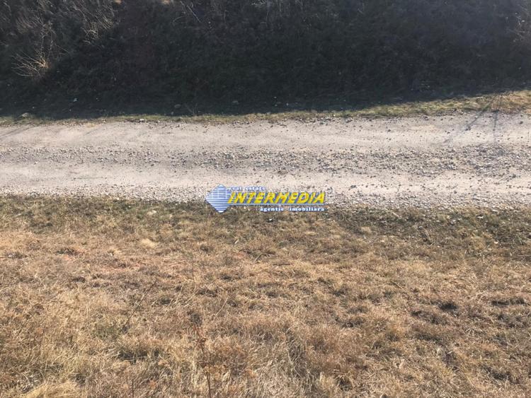 Teren intravilan de vanzare 879mp Alba Micesti - 3