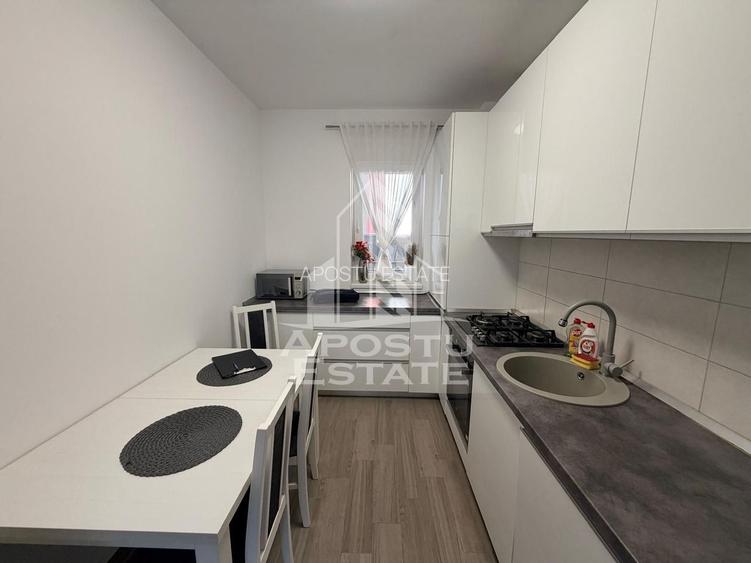 Apartament cu 2 camere, de inchiriat, Giroc, Curte Proprie - 4