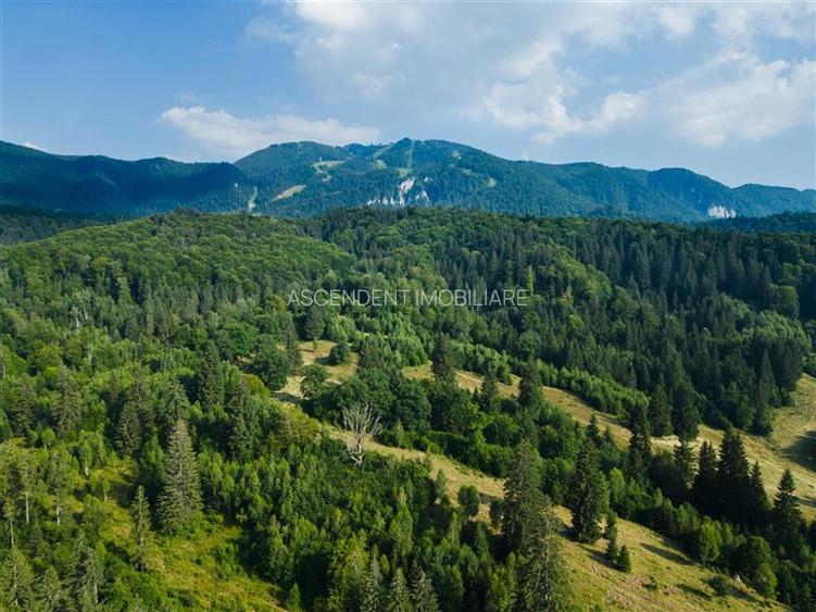 Film! Teren cu destinatie turistica si agrement, Poiana Brasov - Rasnov - 5
